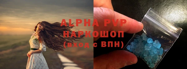 сатива Верея