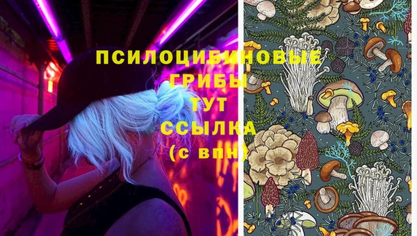 apvp Волосово