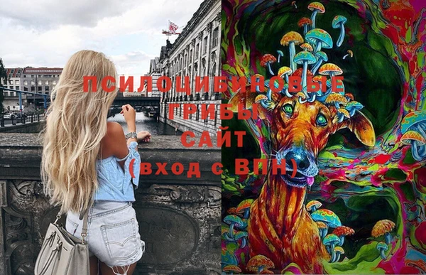 apvp Волосово