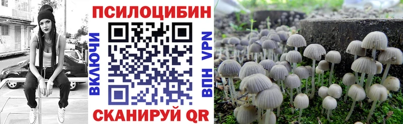 Галлюциногенные грибы Magic Shrooms Купить Михайлов